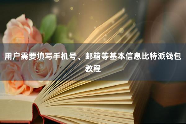 用户需要填写手机号、邮箱等基本信息比特派钱包教程