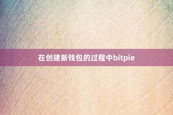 在创建新钱包的过程中bitpie