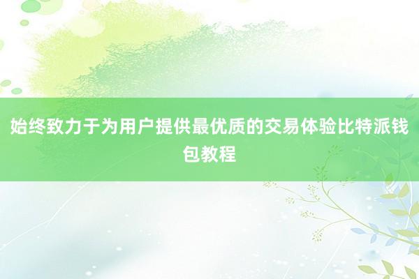 始终致力于为用户提供最优质的交易体验比特派钱包教程