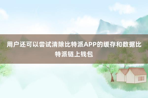 用户还可以尝试清除比特派APP的缓存和数据比特派链上钱包