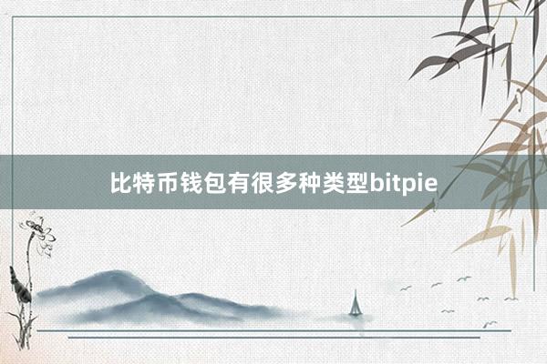 比特币钱包有很多种类型bitpie