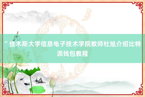 ”佳木斯大学信息电子技术学院教师杜旭介绍比特派钱包教程