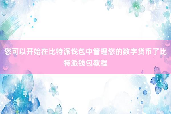 您可以开始在比特派钱包中管理您的数字货币了比特派钱包教程