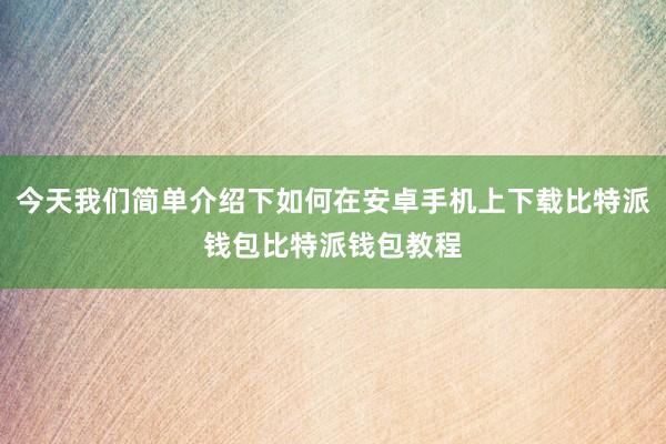 今天我们简单介绍下如何在安卓手机上下载比特派钱包比特派钱包教程