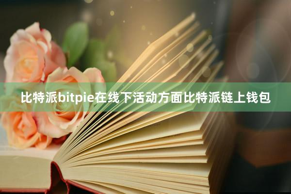 比特派bitpie在线下活动方面比特派链上钱包