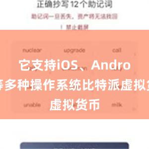 它支持iOS、Android等多种操作系统比特派虚拟货币