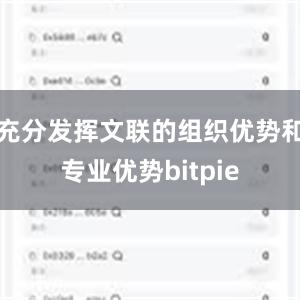 充分发挥文联的组织优势和专业优势bitpie