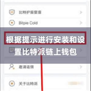 根据提示进行安装和设置比特派链上钱包