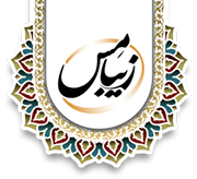 لوگوی زیبا مس با زمینه شفاف 3